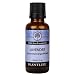 Lavender 100% Pure Essential Oil - 30 ml