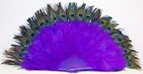 Purple Marabou Feather Fan with Peacock Tips