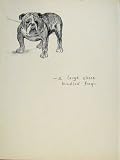 Large Obese Bull Dog Hound Animal Sketch C1938 Print