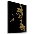 Deus Ex: Human Revolution Collectors Edition Guide