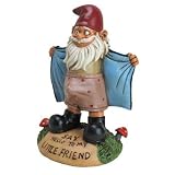 Lawn & Patio - Perverted Garden Gnome