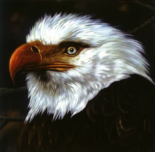 CD-Charts  Music : The Hawk Is Howling