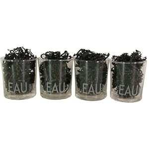 "Eau" White Etched Water Glasses, Set of 4