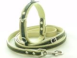 Collar and Leash - Black and Brown Matching Collar & Leash