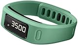 Garmin Vivofit
