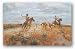 Caught in the Open by J. N. Swanson 36x24 Art Print Poster