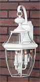 Transitional Newbury Outdoor Lighting BY Quoizel Lighting