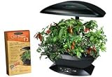 AeroGarden Chili Peppers Seed Kit