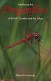 Introducing the dragonflies of British Columbia and the Yukon