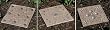 3 Assorted Garden Stones with Mirror Detail