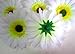 (12) BIG Silk White Gerbera Daisy Flower Heads , Gerber Daisies - 3.5