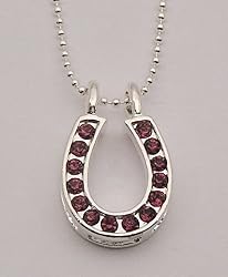 Large Rhinestone Horseshoe Necklace, Purple