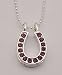 Large Rhinestone Horseshoe Necklace, Purple