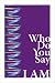 Who Do You Say I Am (Paperback) by C.L. Mareydt