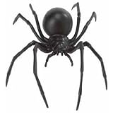 Hidden Kingdom Insects: Black Widow Spider