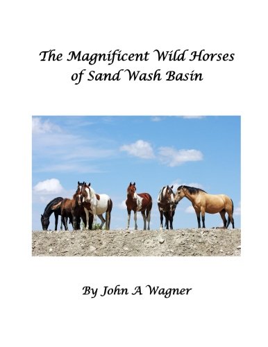 The Magnificent Wild Mustangs Of Sand Wash Basin, by John A Wagner