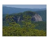blue ridge ii Scenic Photographic Poster Print by Jill L. Sullivan, 10x8