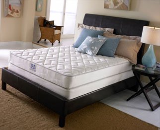Sealy Traverse Firm Twin Mattress Only