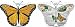 Inside Monarch Butterfly Children's Puzzle