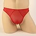 Zeagoo Men's Net Yarn Underpants Underwear Red