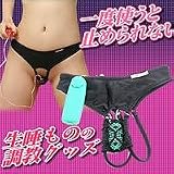 ローター専用パンティー　シングル【R114-SP】　M