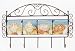 SEA SHELL 3-D 4 Tile Horizontal Metal Wall Hanger Key Hook Towel Rack *NEW*!