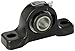 Link-Belt PU316 Ball Bearing Pillow Block, 2 Bolt Holes, Heavy-Duty, Relubricatable, Non-Expansion, Cast Iron, Setscrew Locking Collar, Inch, 1" Bore Diameter