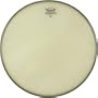 Remo Ambassador Snare Head, Renaissance, 13-inch Diameter