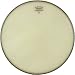 Remo Ambassador Snare Head, Renaissance, 13-inch Diameter
