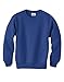 Hanes Youth EcoSmart Crew, Deep Royal, Medium