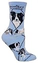 Border Collie Light Blue Cotton Puppy Dog Breed Animal Adult Socks 9-11