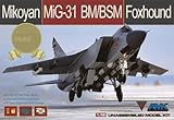 1/48 ミコヤーン MiG-31BM/BSM フォックスハウンド 限定版 プラモデル