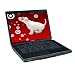 Toshiba Satellite 17" L355-S7834 Intel Pentium Dual-Core T3200 Notebook with Windows Vista and Case - Glossy Black