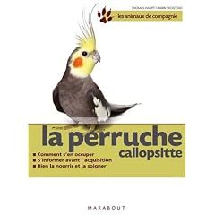 La perruche callopsite
