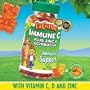 L'il Critters Immune C plus Zinc & Echinacea 200 Gummy Bears