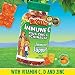 L'il Critters Immune C plus Zinc & Echinacea 200 Gummy Bears