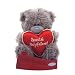 5  Boyfriend Heart Me to You Bear