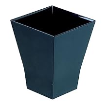 Packnwood Black Square Cup, 2 oz Capacity (20 Packs of 30)