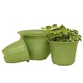 Planter Container Set of 3 - Peridot
