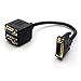 Rerii Golden Plated DVISPL1VV 1 Feet DVI-I Analog to 2x VGA Video Splitter Cable, DVI Male 24+5 to 2 VGA Female Cable Adapter - M/F
