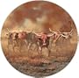 Day of the Longhorns Thirstystone Natural Sandstone Coasters, Set of 4
