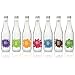 DRY Soda Multi 12-Pack