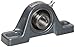 Browning VPS-220 AH Pillow Block Ball Bearing, 2 Bolt, Air Handling Duty, Setscrew Lock, Contact and Flinger Seal, Cast Iron, Inch, 1-1/4" Bore, 1-7/8" Base To Center Height