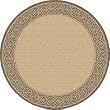 Outdoor Area Rug, Dynamic Rugs Piazza Collection Natural Brown