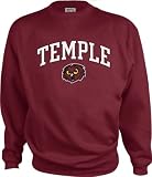 Temple Owls Kids/Youth Perennial Crewneck Sweatshirt