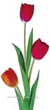 Tulips 2-1204 Wall Mural