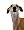 Greyhounds