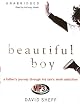 Beautiful Boy: A Father's Journey Through His Son's Crystal Meth Addiction