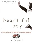 Beautiful Boy: A Father's Journey Through His Son's Crystal Meth Addiction