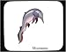 Decorated Mouse Pad with dolphin, porpoise, dinosaur, amphibian